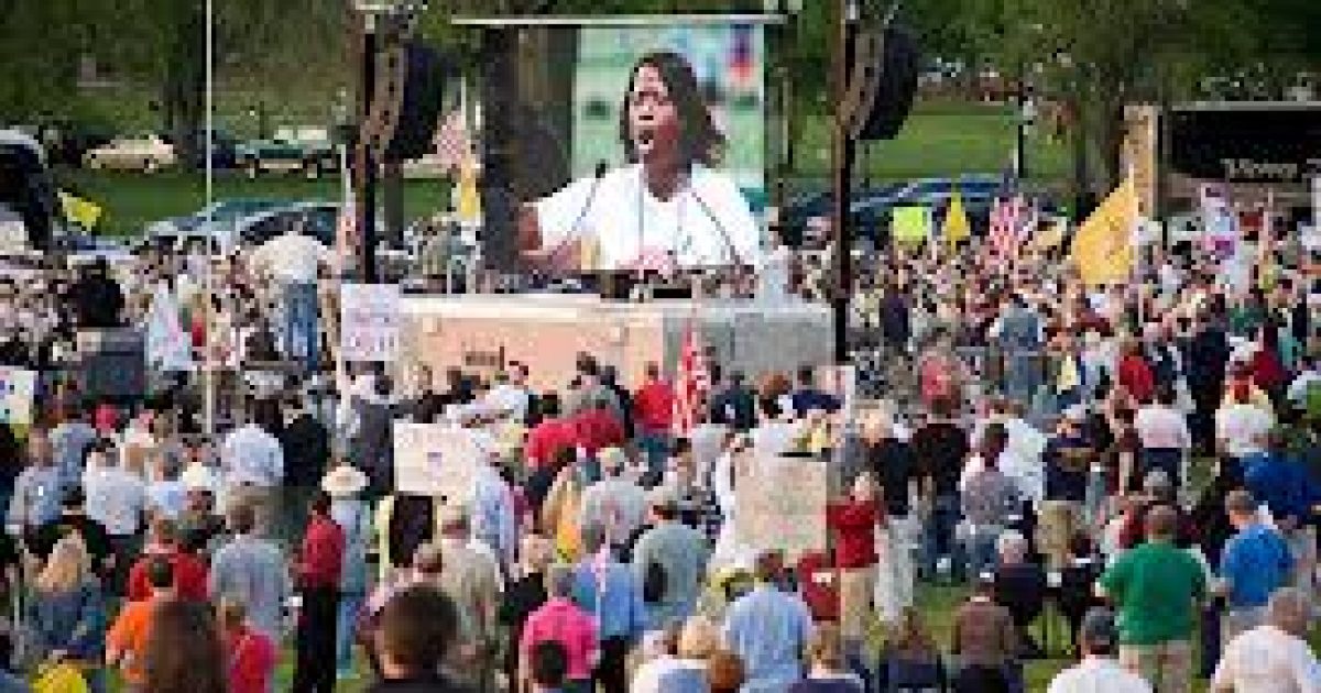 deneen dc tea party
