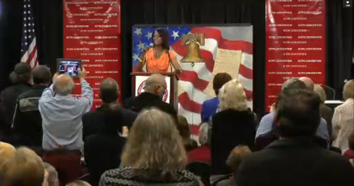 deneen sc tea party conv 01192014