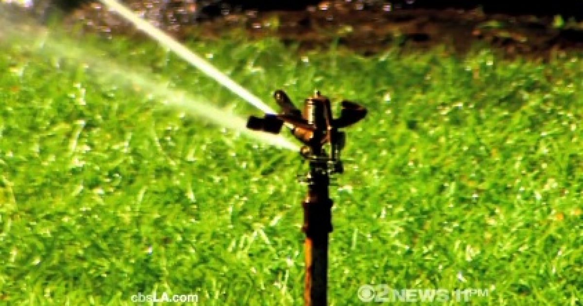 Sprinkler