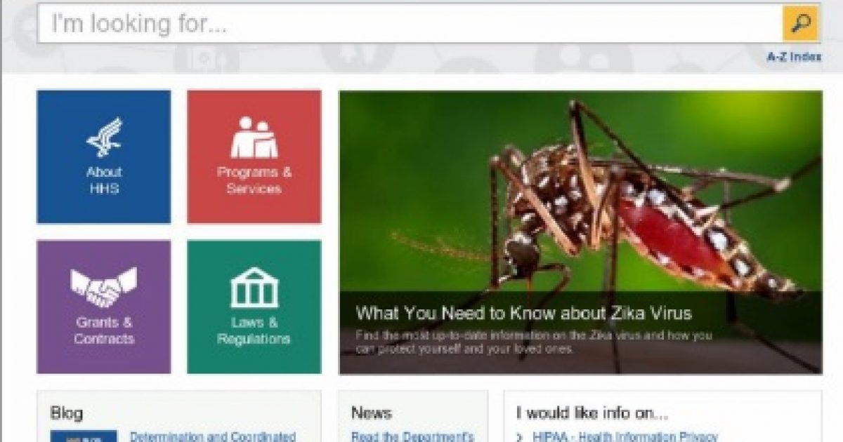 zika zika